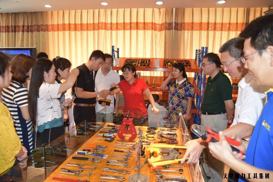 云顶国际工具集团媒体推介会成功举办(图3)